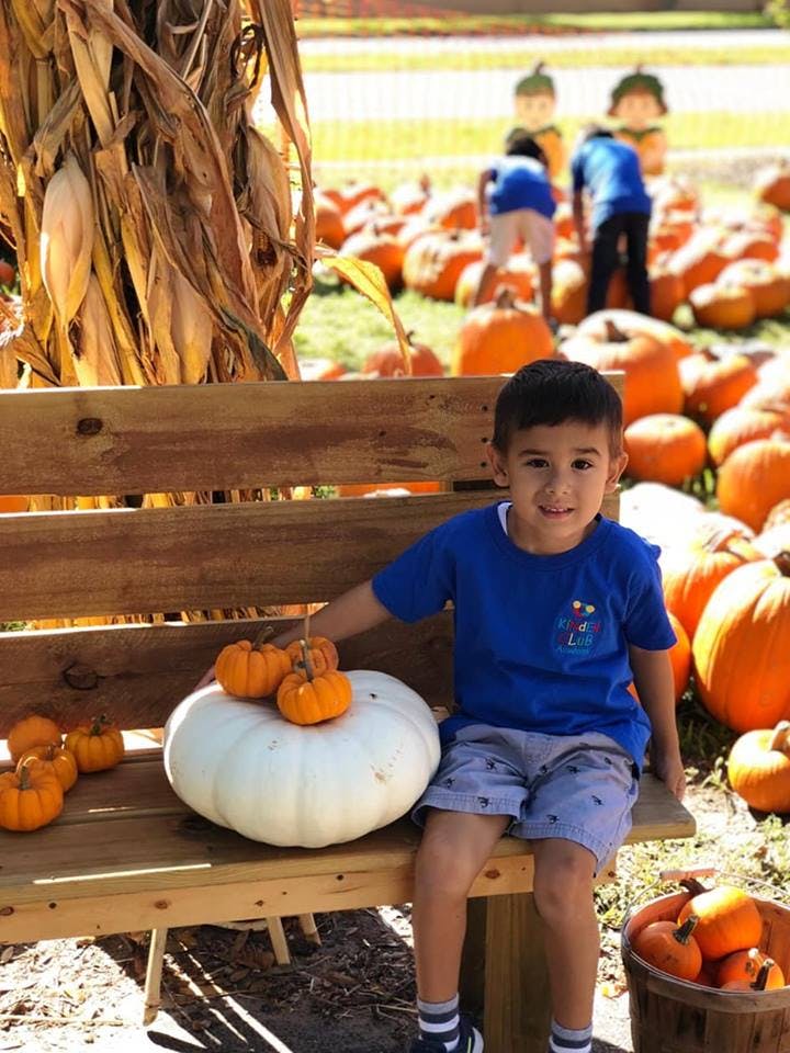 Child sitting on a bench with pumpkins, other people in background