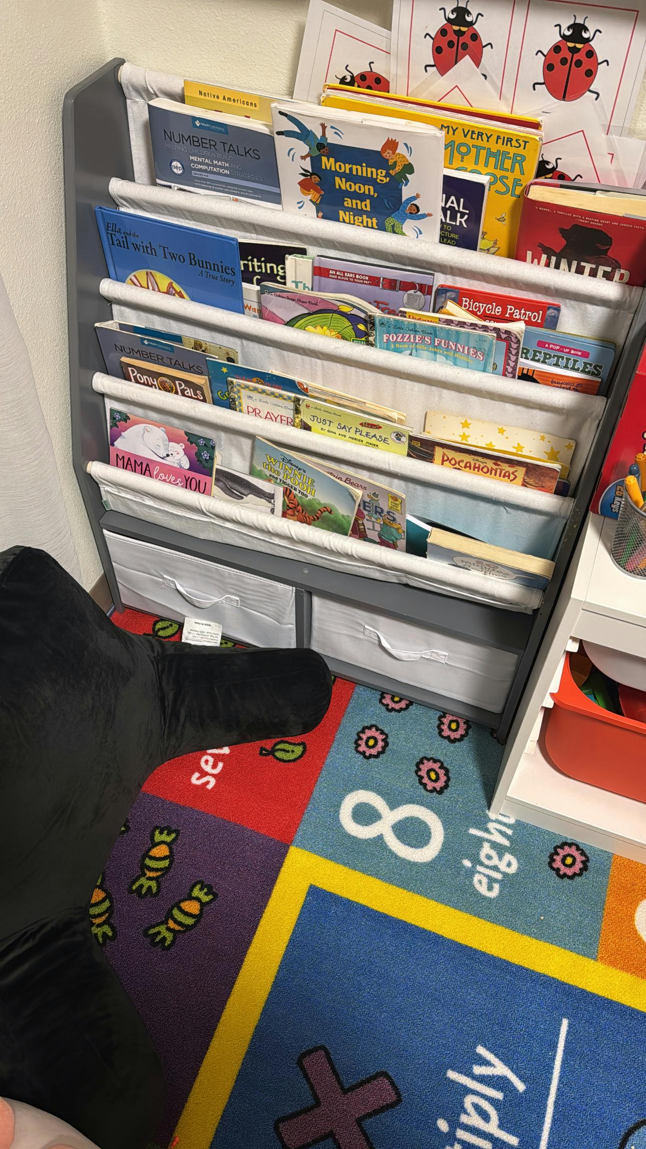 Children's book display with various books and a colorful rug