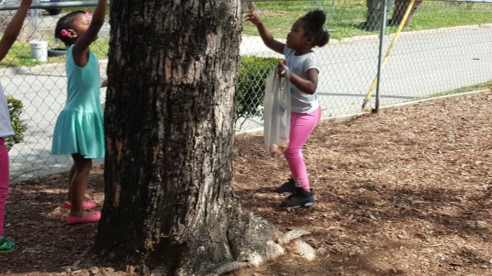 Children reaching up to a tree trunk