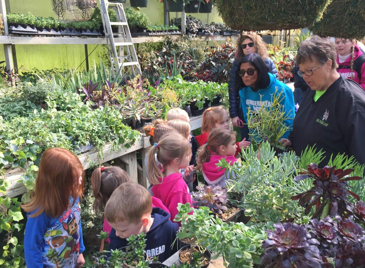 Adults and children looking at plants in a greenhouse