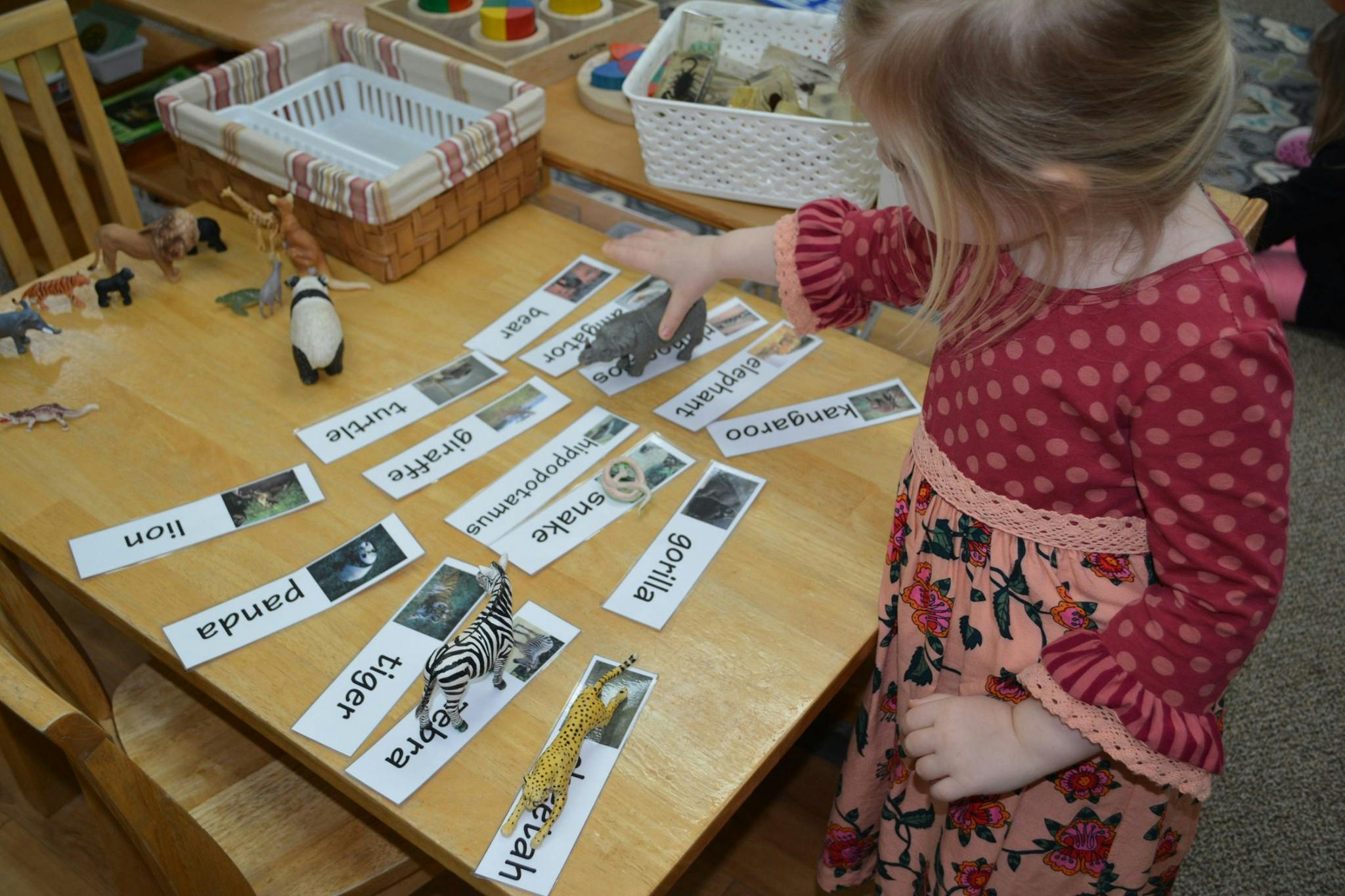 Child matching animal pictures to word cards on a table