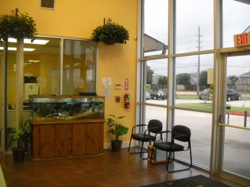 Waiting room with an aquarium, chairs, and large windows