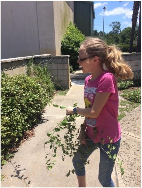 Child holding a leafy branch while standing on a sidewalk