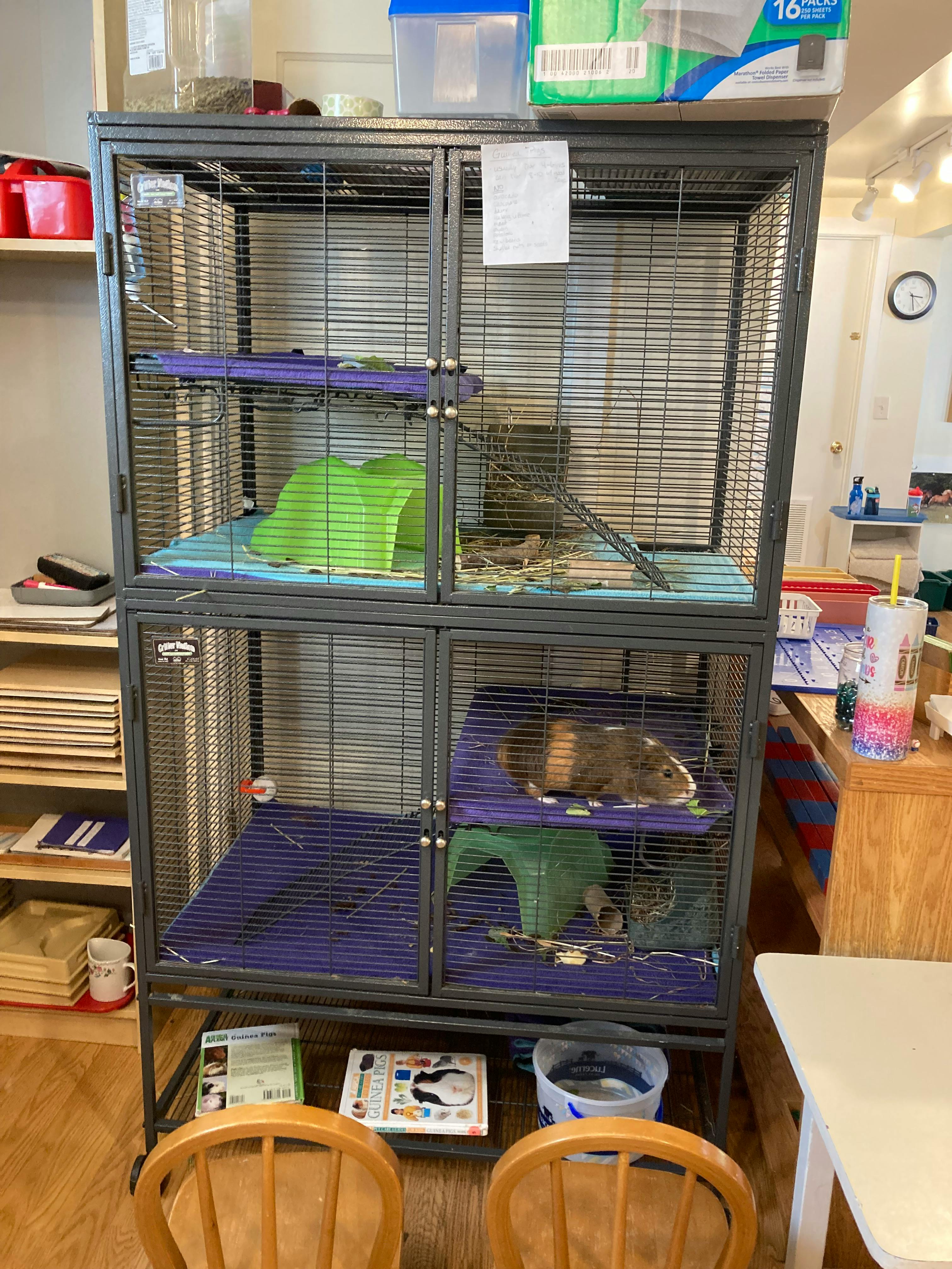 Multi-level pet cage with small animals inside