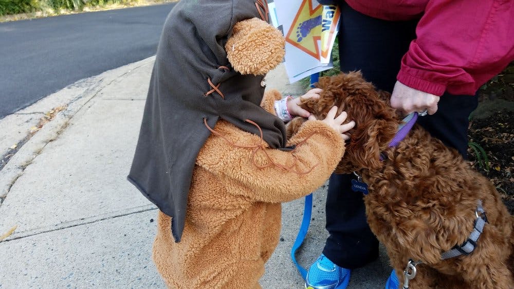 Child in costume petting a dog