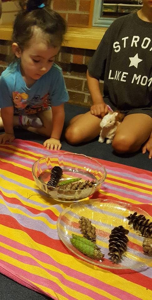 Two children looking at pinecones and other natural items in bowls