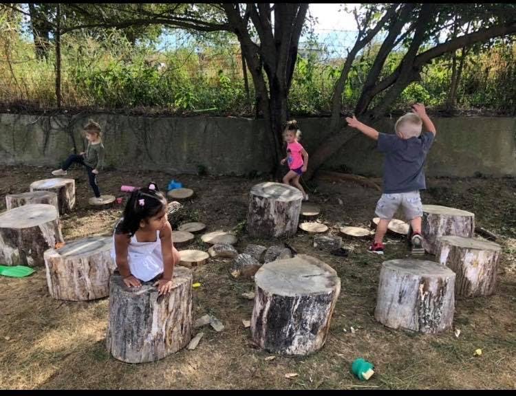 Children playing on tree stumps outdoors