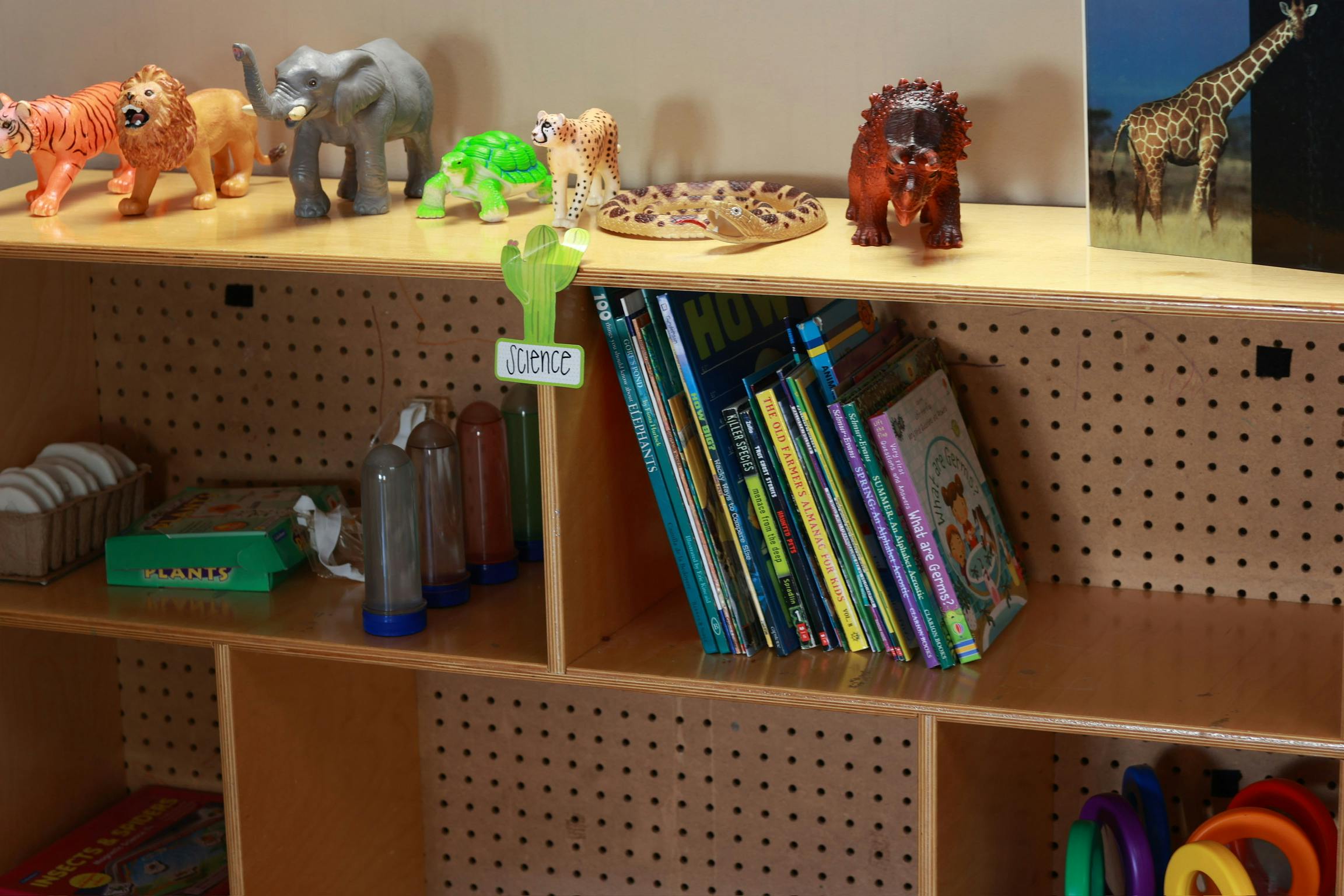 Shelf with animal figurines and books