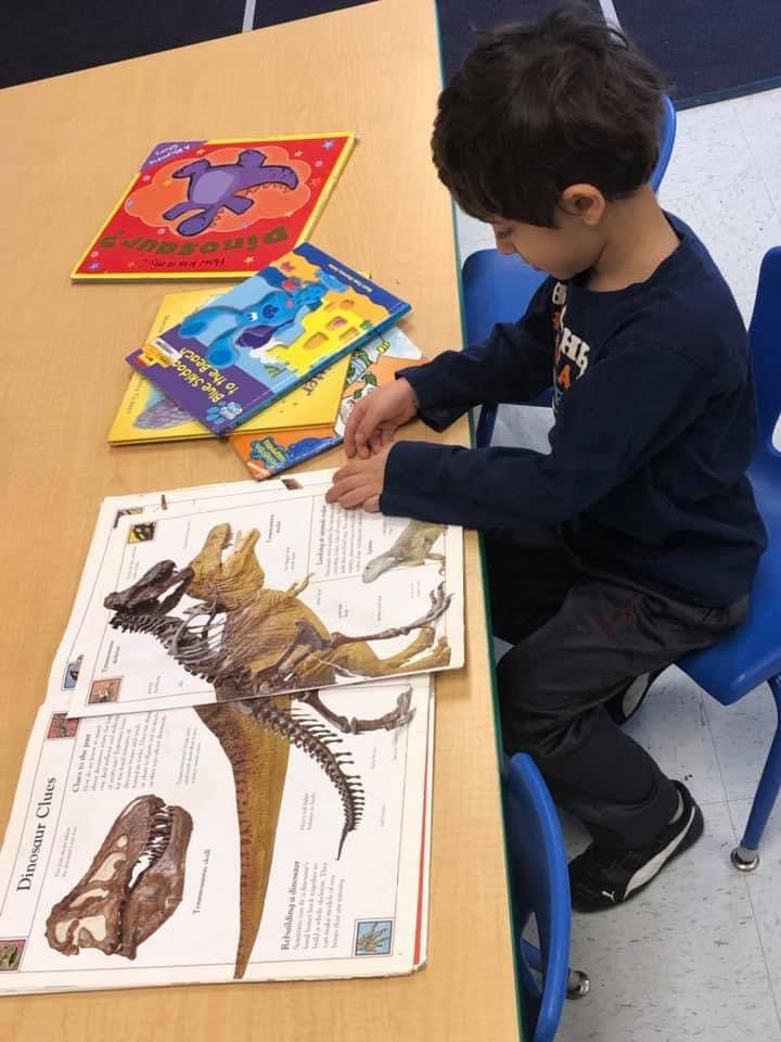 Child looking at dinosaur illustrations on a table