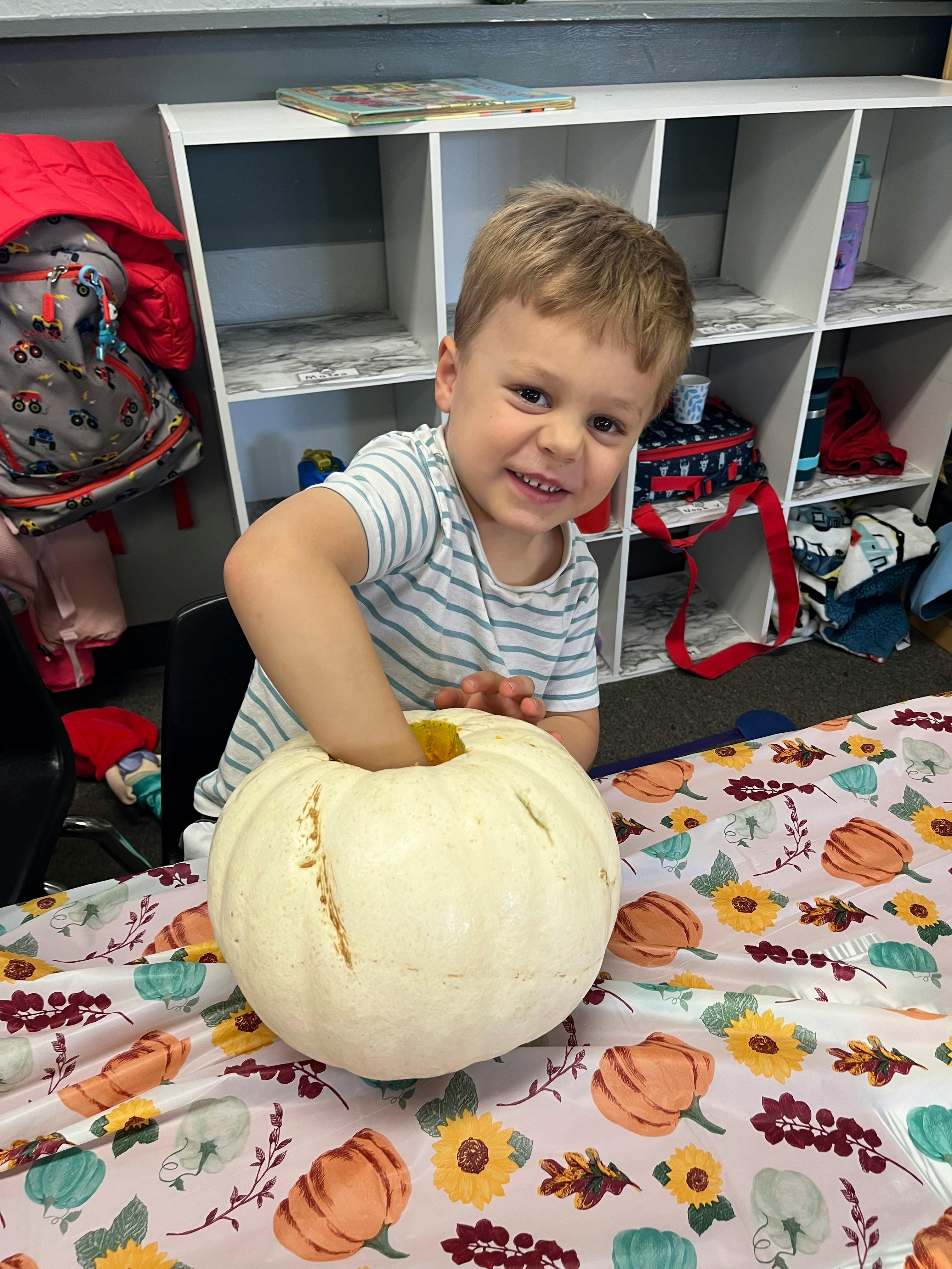 Child reaching into a white pumpkin on a patterned tablecloth