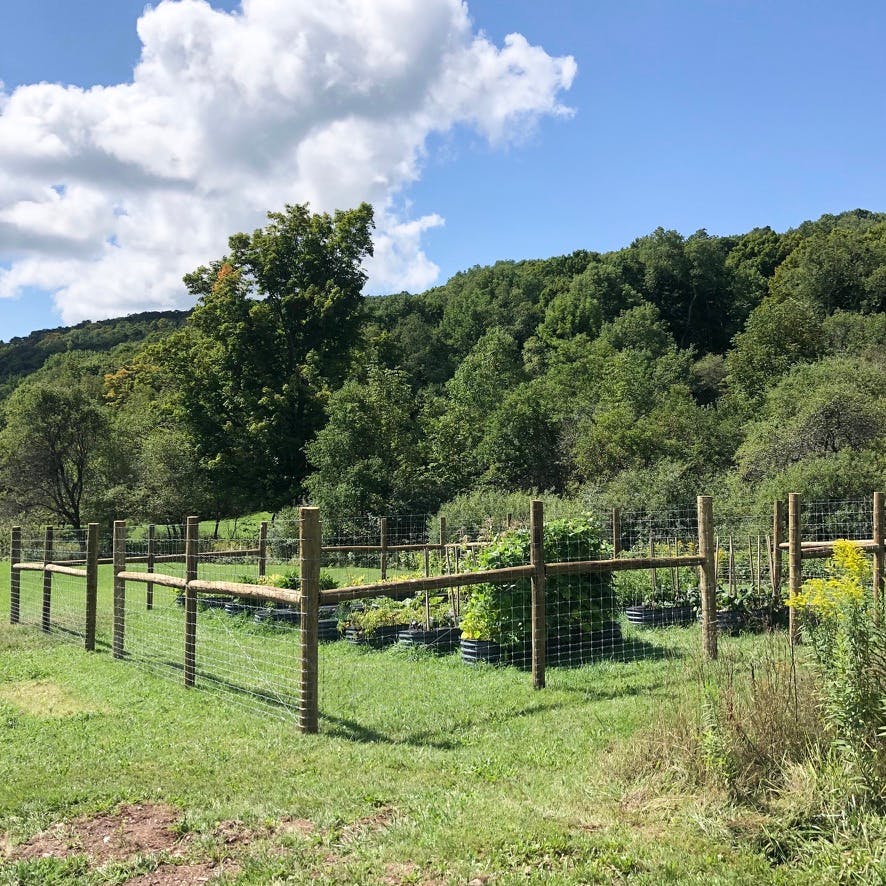 Fenced garden with raised beds in a grassy field