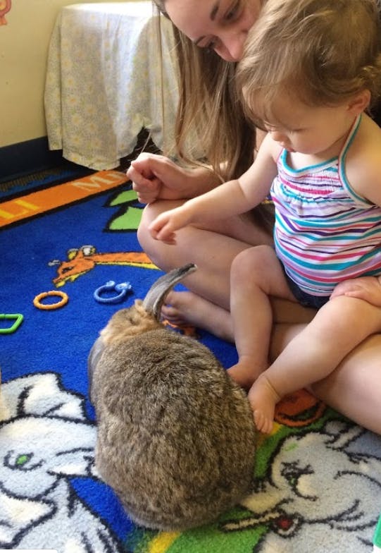 Person and child sitting on a rug with a rabbit