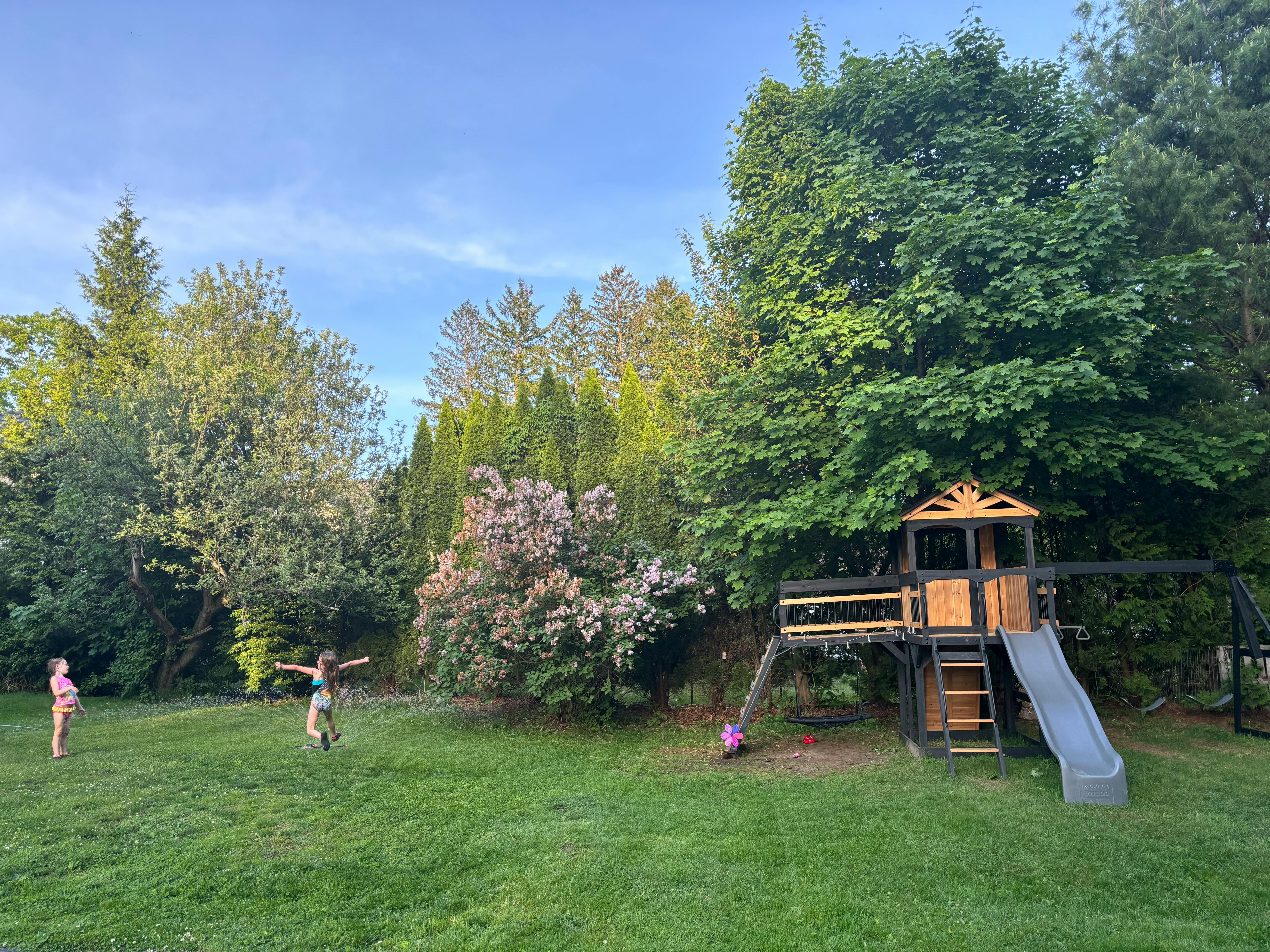Two children playing in a grassy yard with a playset
