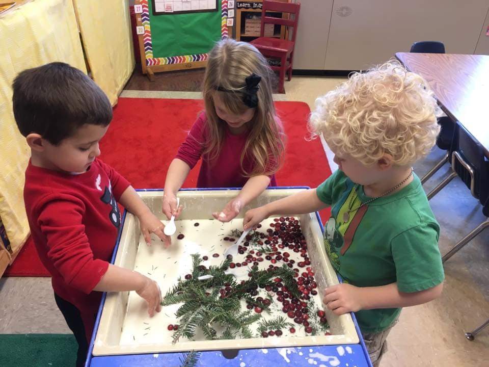 Three children playing with berries and pine branches in a sensory bin