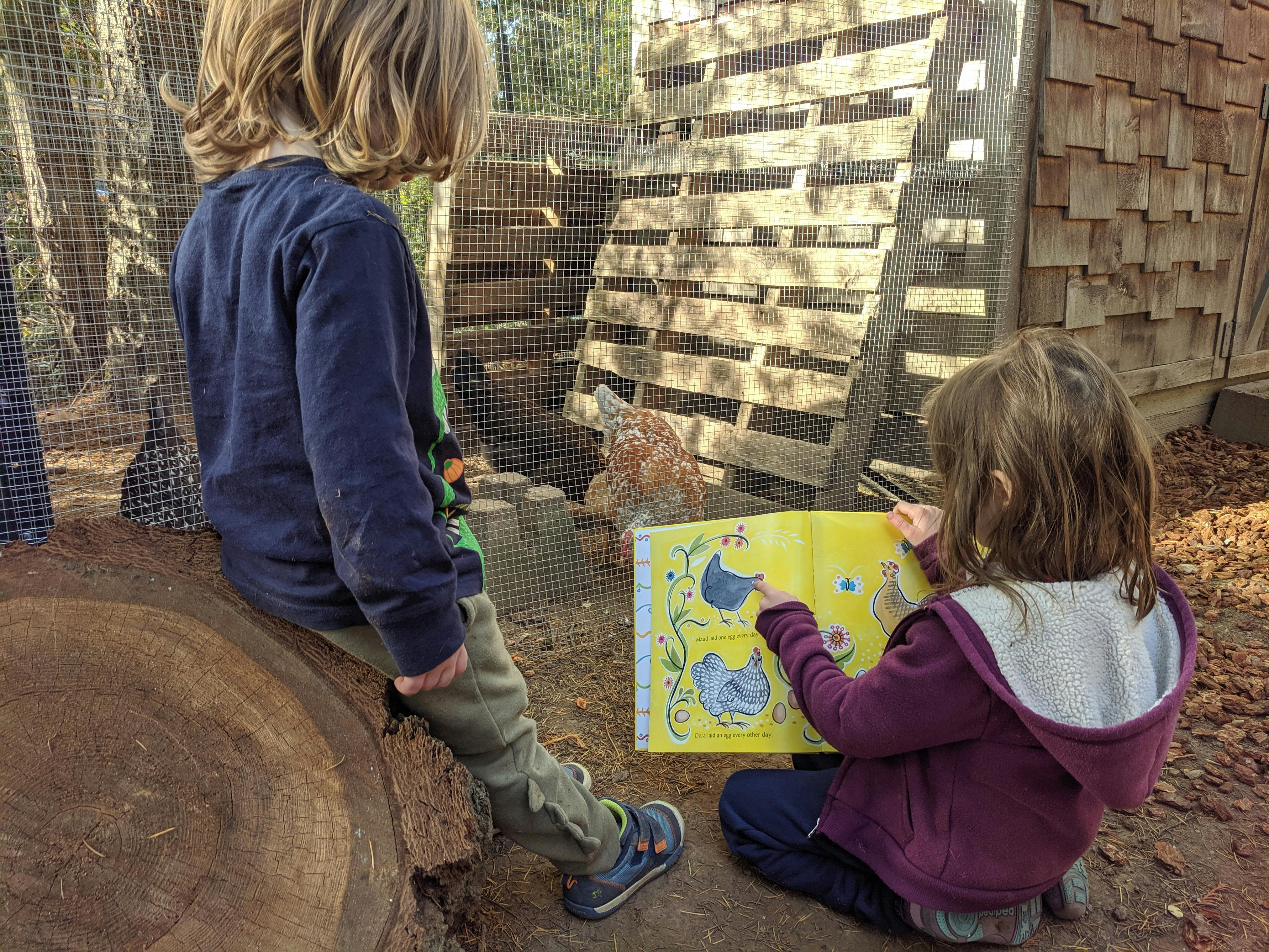 Two children looking at a book near a chicken coop