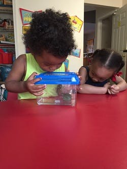 Bowie high school graduation requirements picture