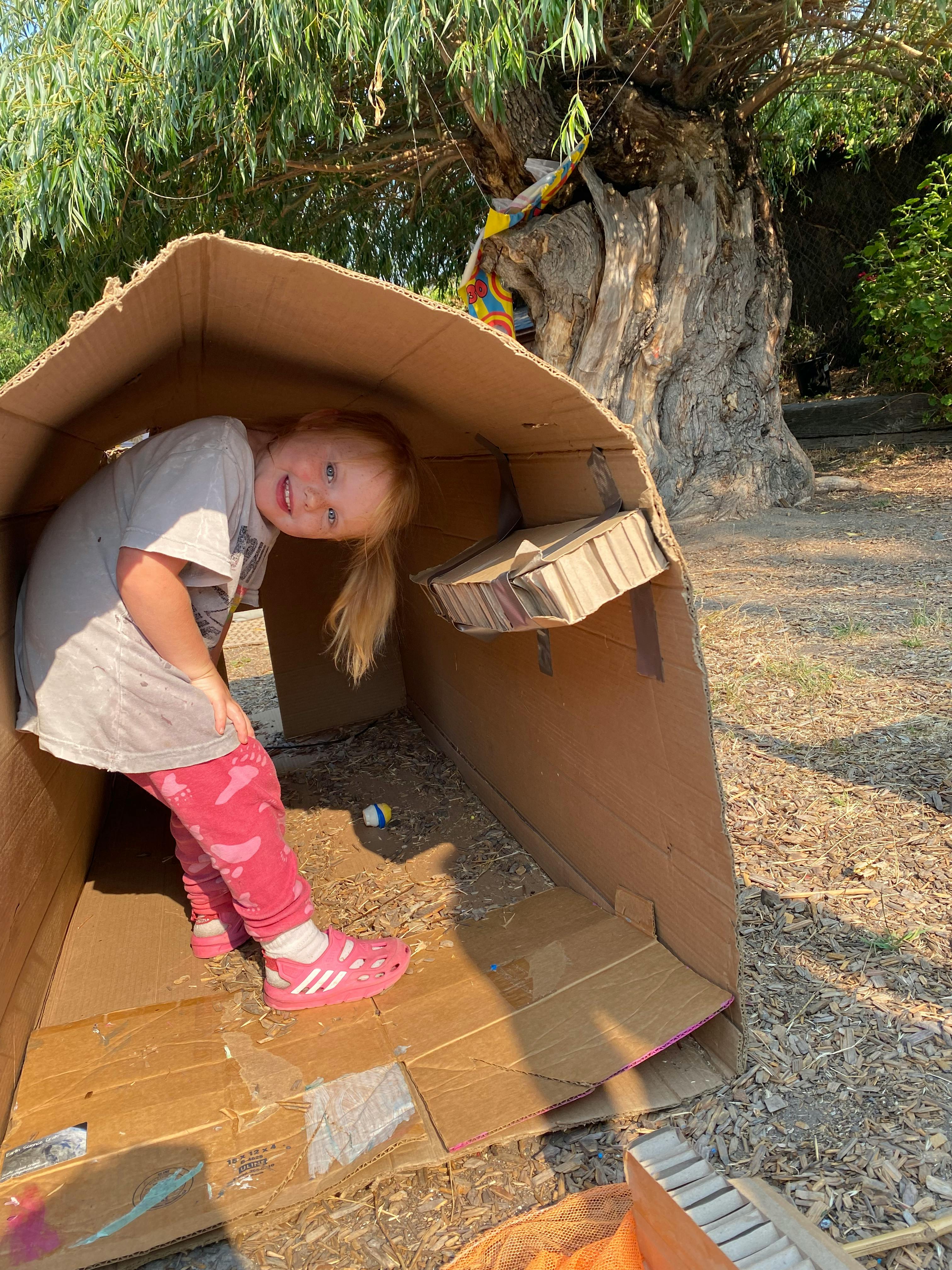 Child in a cardboard box fort