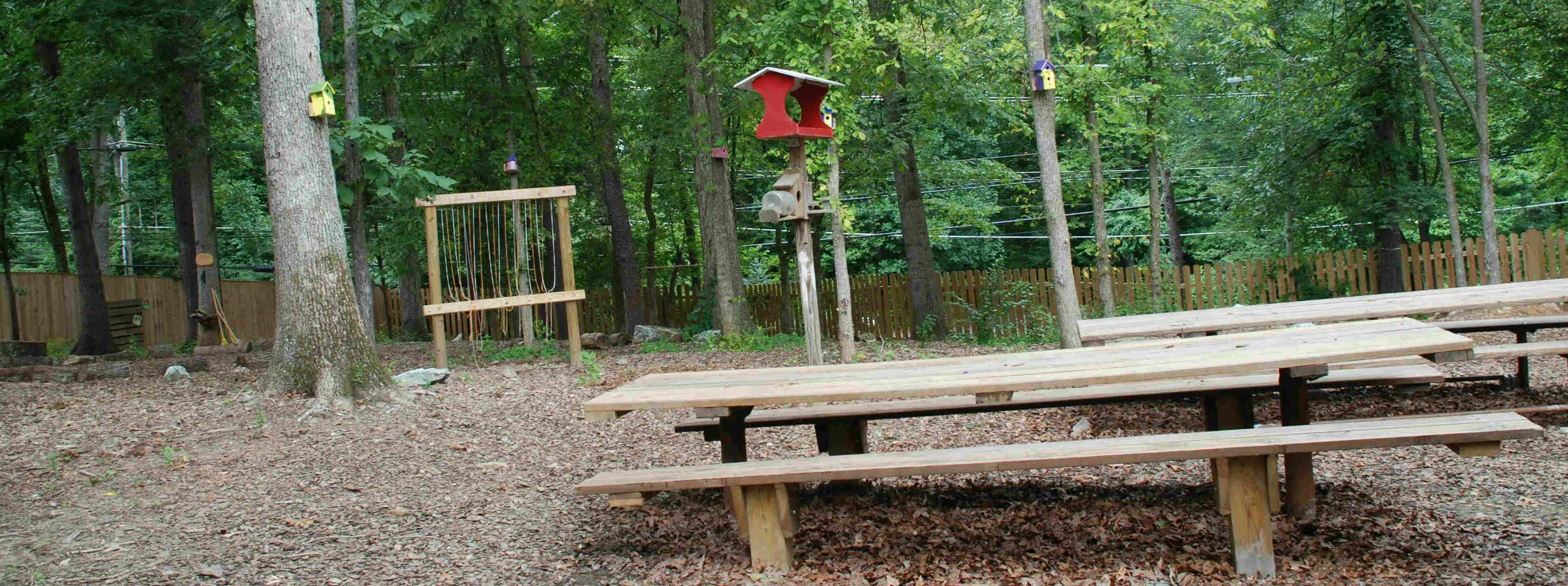 Picnic tables in a wooded area with a bird feeder and wooden frame
