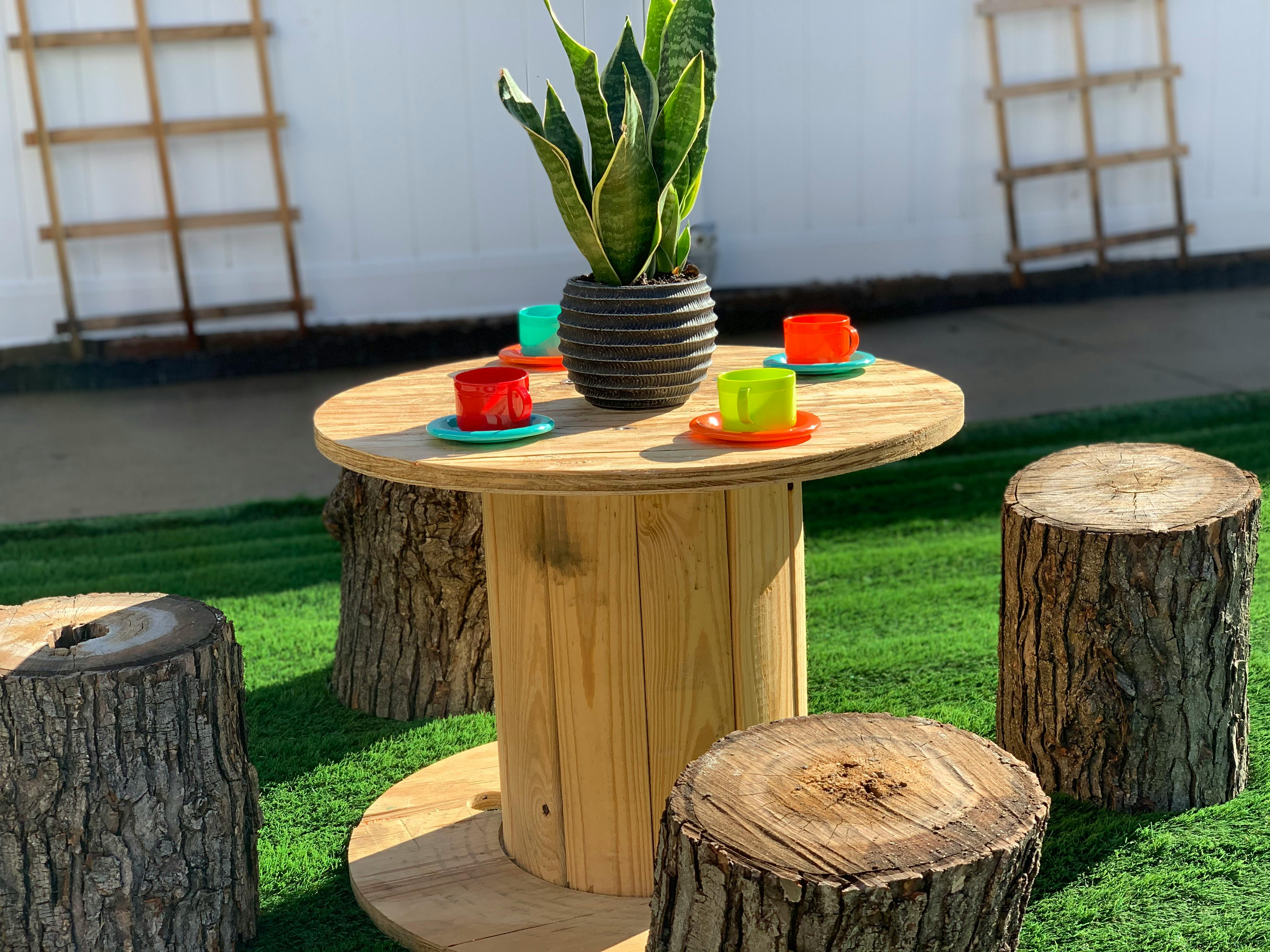 Potted plant and colorful cups on a wooden spool table with tree stump seats