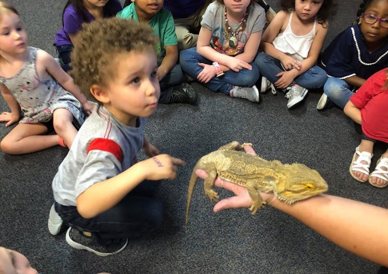 Child pointing at a lizard held by a person, with other children watching