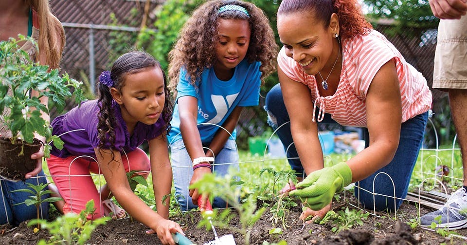 Adult and two children planting in a garden
