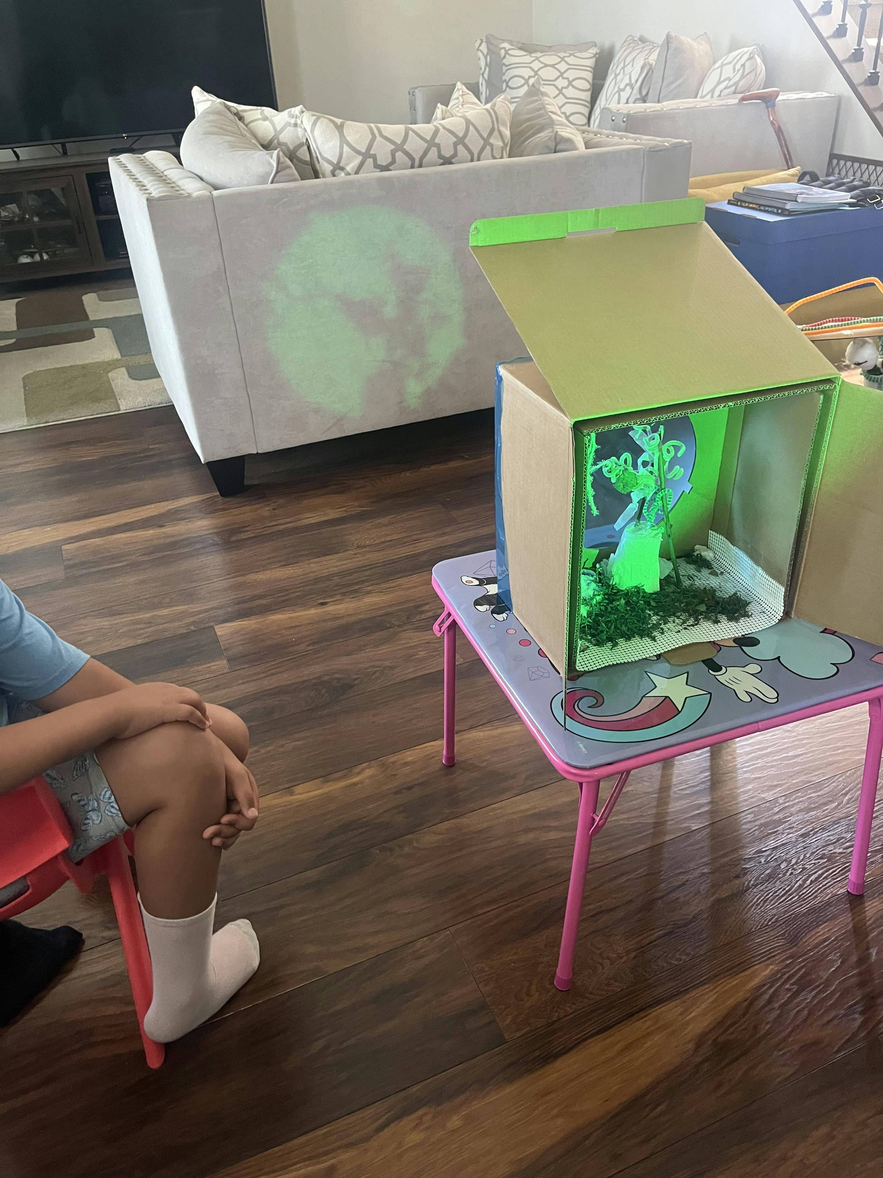 Child sitting by a cardboard box habitat illuminated with green light