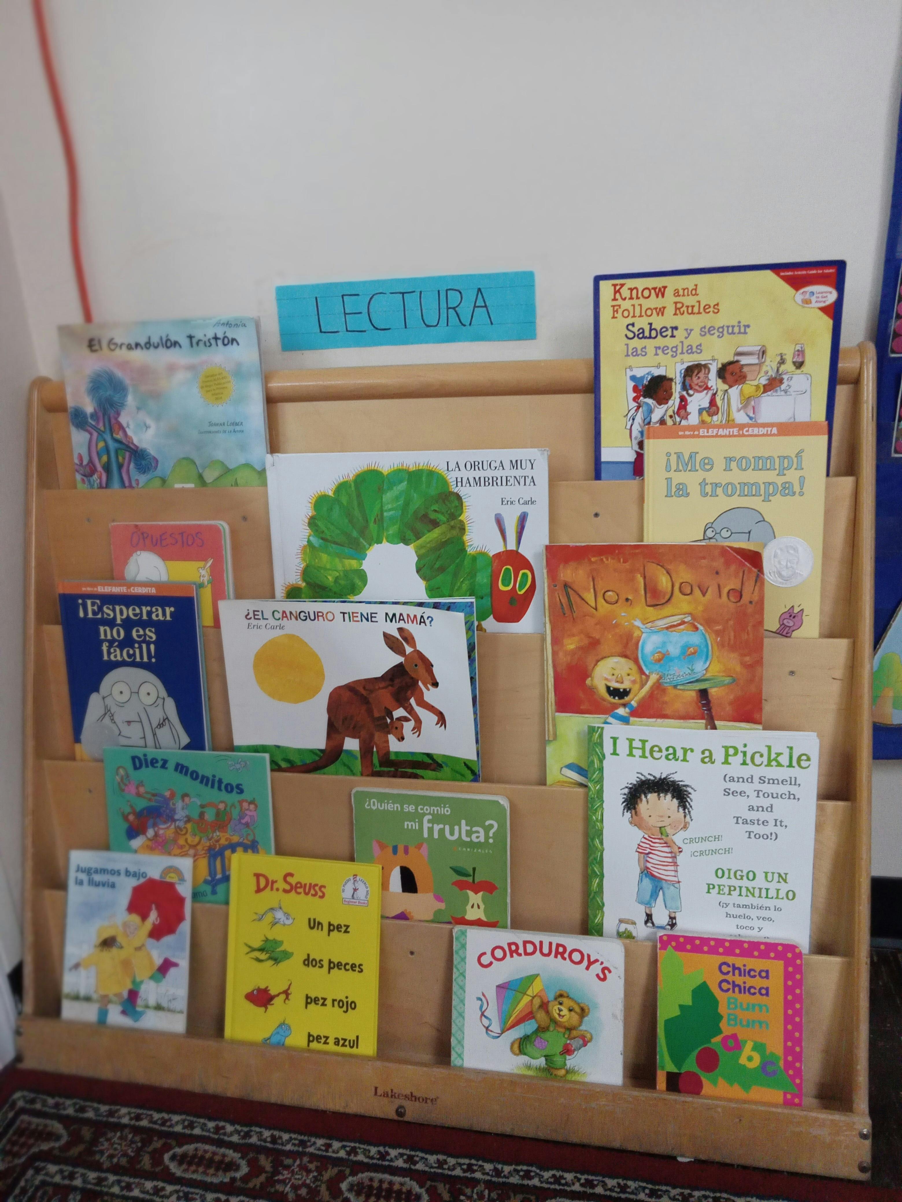 Children's books displayed on a wooden shelf with a "LECTURA" sign