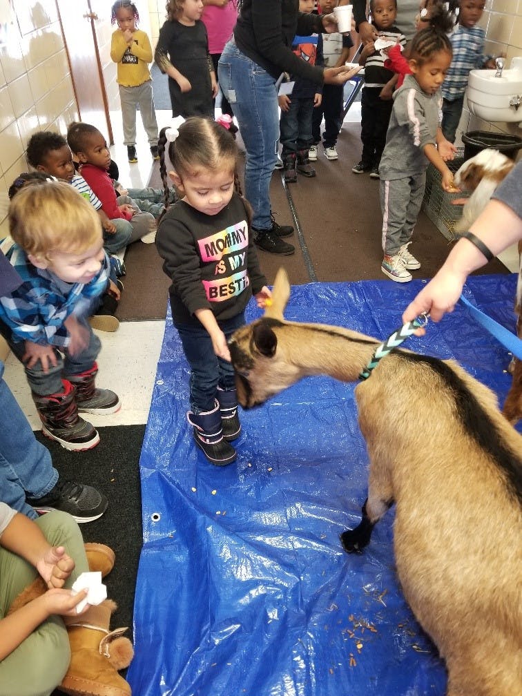 Child petting a goat on a blue tarp with other children nearby