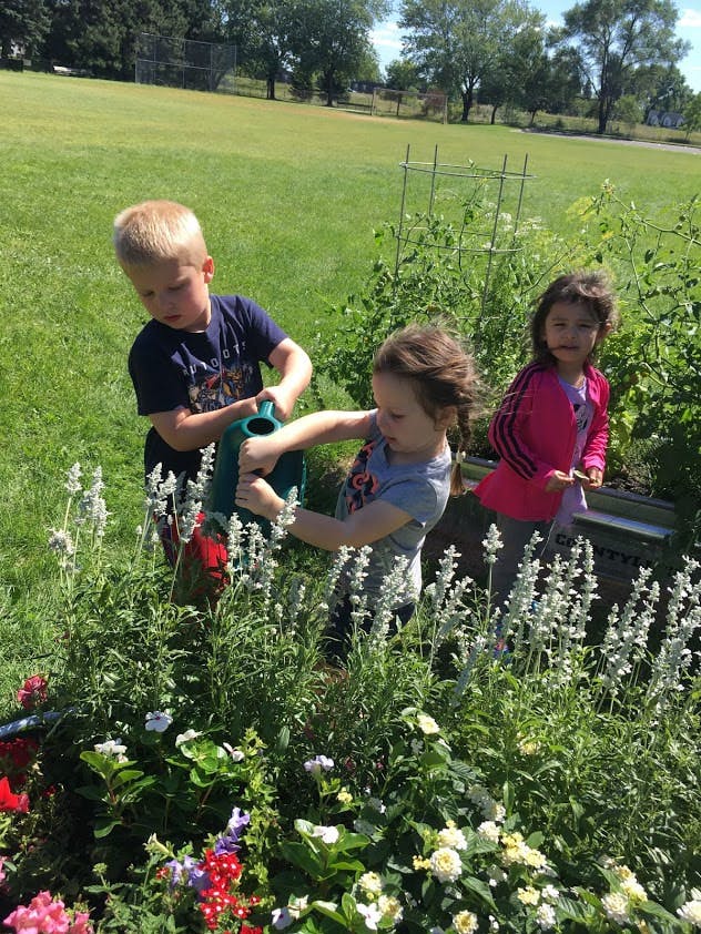 Children watering plants in a garden