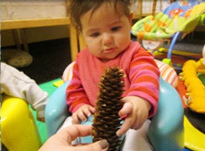 Child in high chair reaching for a pinecone held by a person