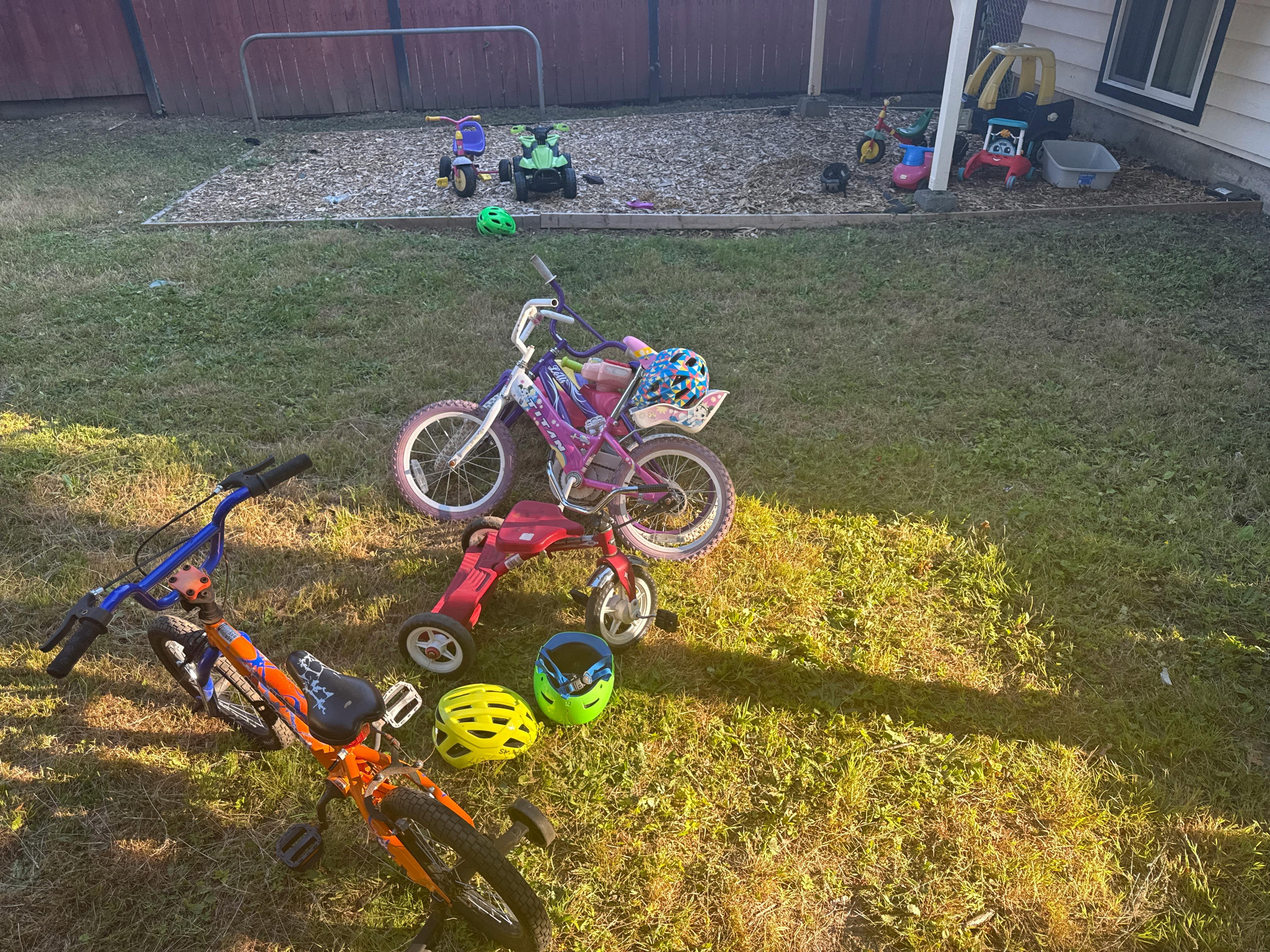 Children bicycles and tricycles on a grassy backyard lawn