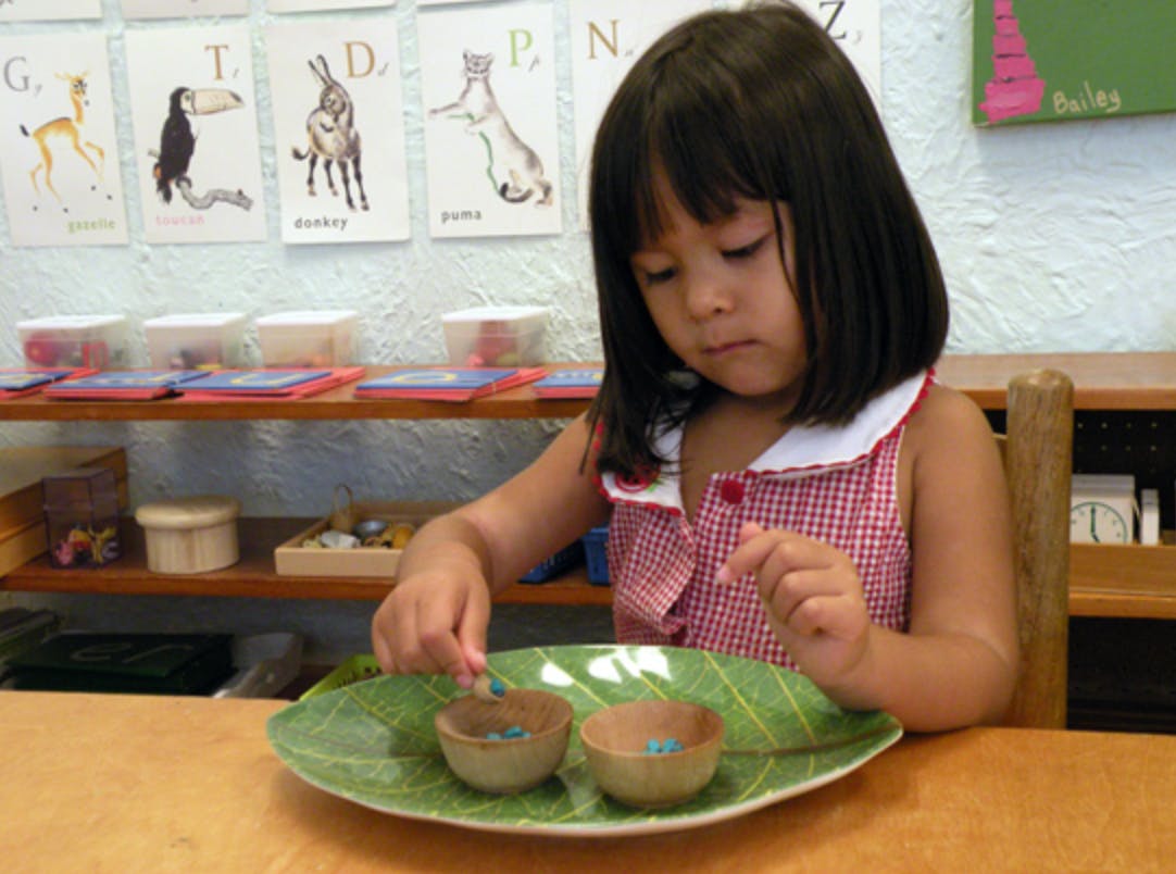 Child placing small beads into bowls on a leaf-shaped plate