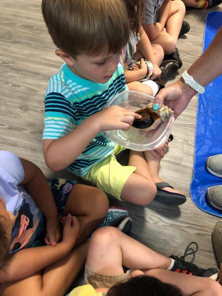 Child looking at a hermit crab in a clear container