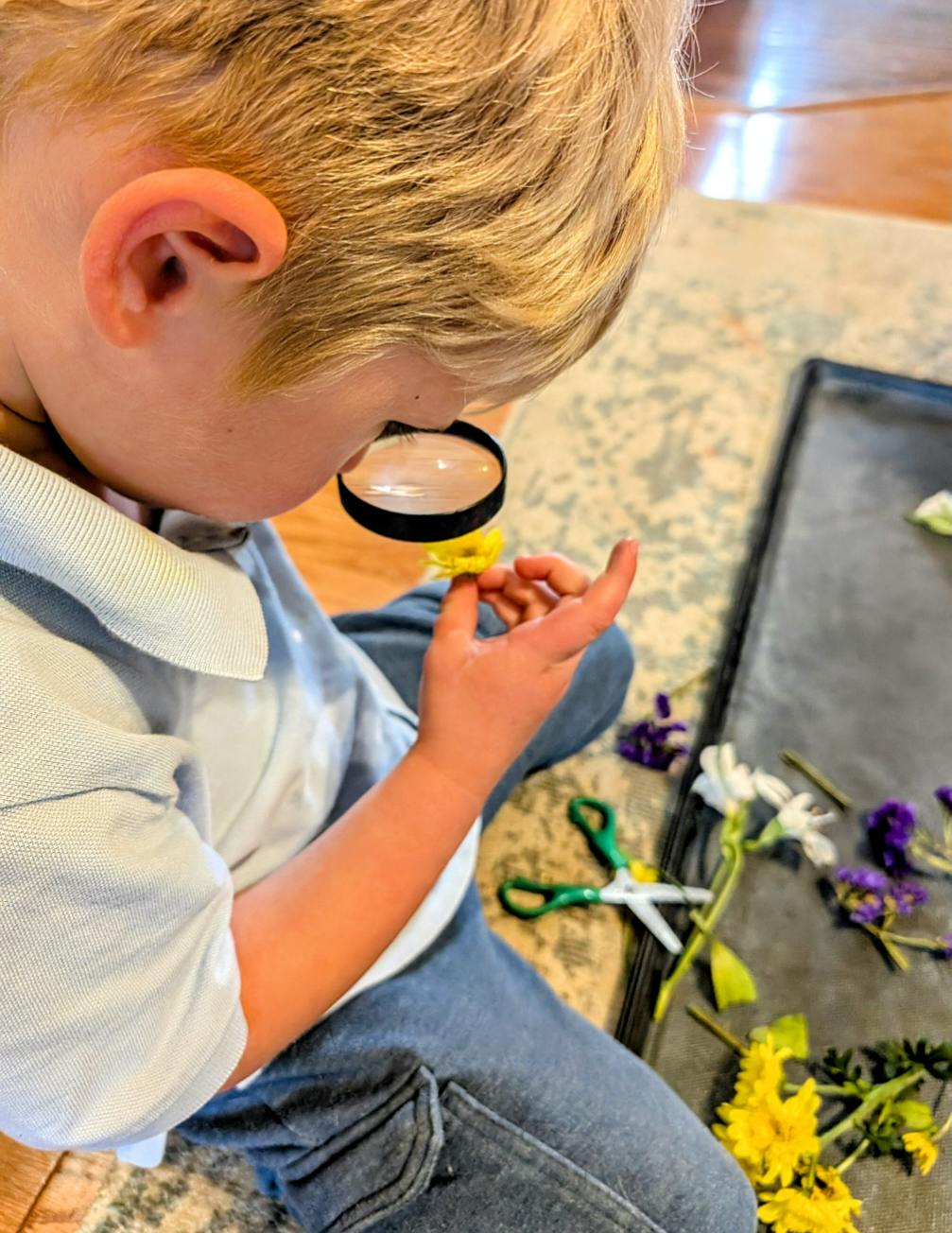 Child looking through a magnifying glass at a flower
