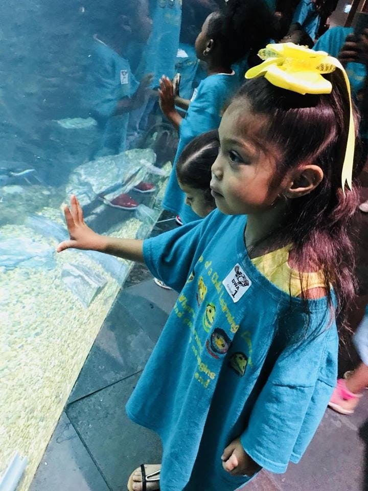 Child with hand on aquarium glass looking at fish