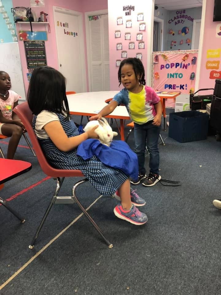 Child holding a white rabbit while another child pets it