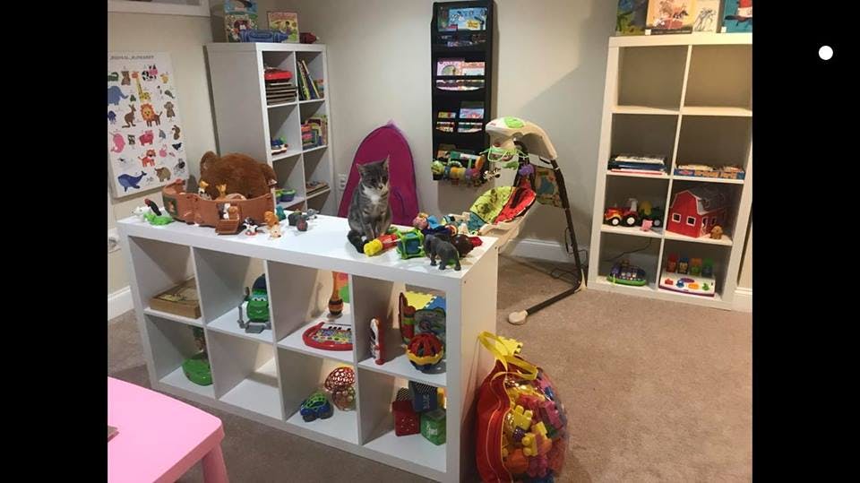 Cat sitting on a white storage unit in a room with toys