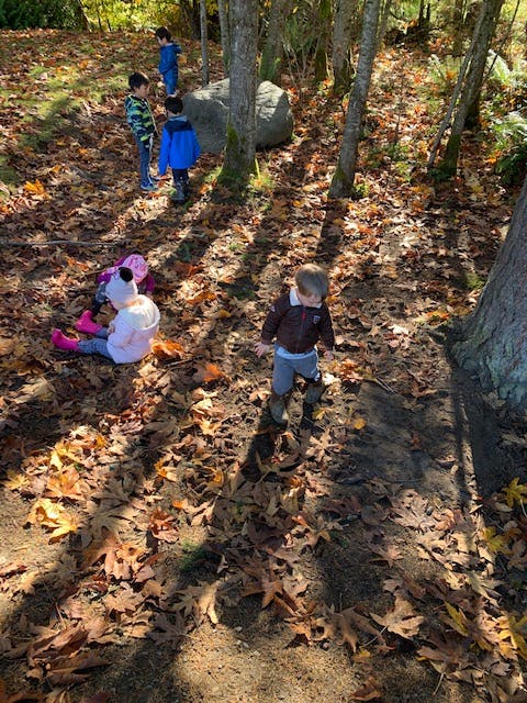 Children playing outdoors in a wooded area covered with autumn leaves