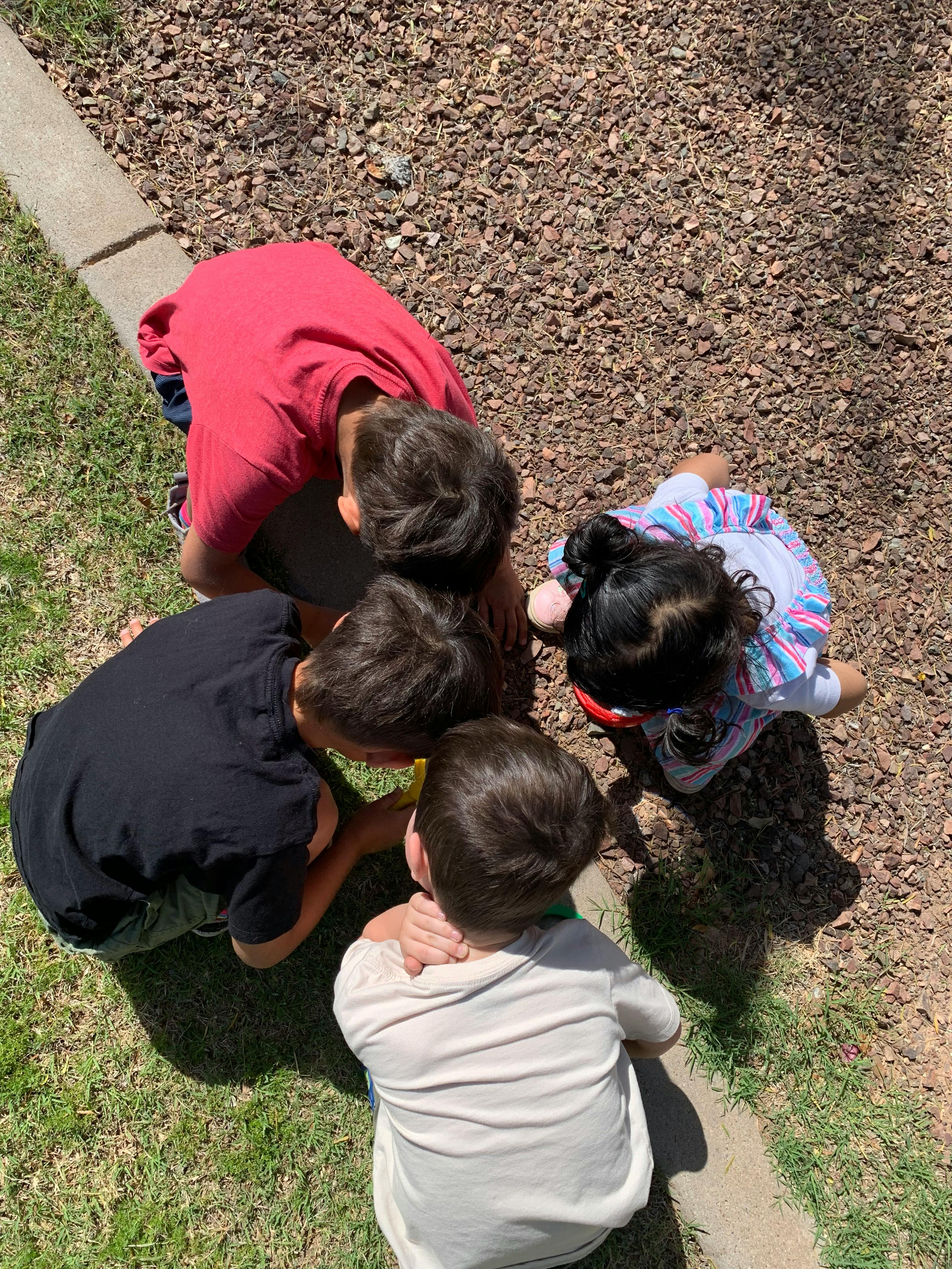 Four children gathered around something on the ground