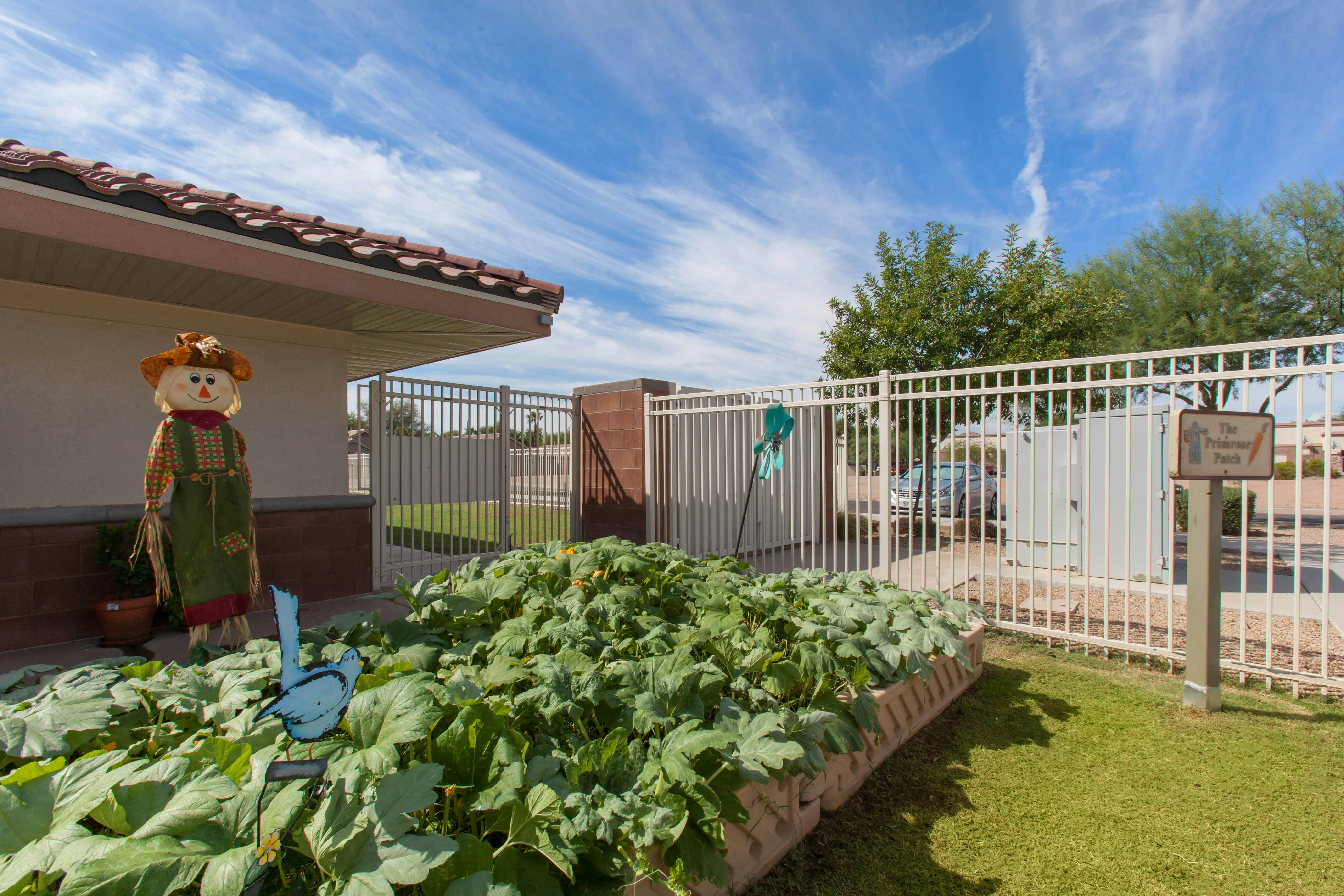 A scarecrow standing next to a large garden bed under a blue sky