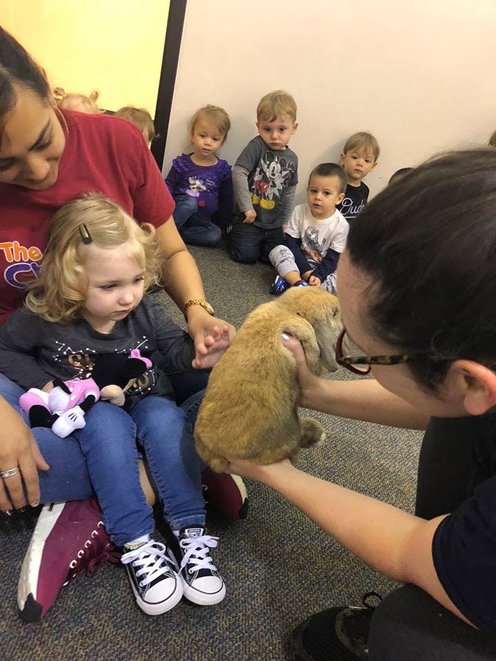 Adults and children interacting with a rabbit