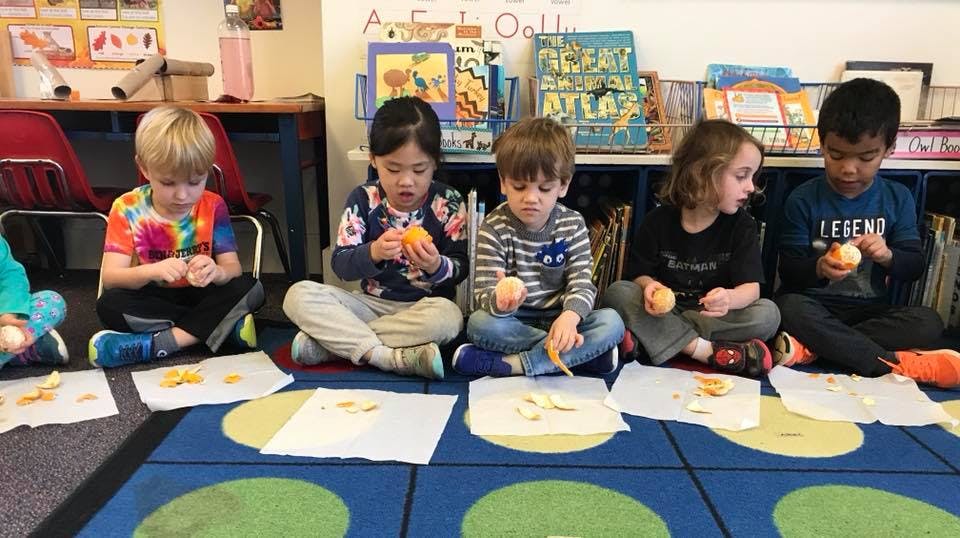 Madison School for Young Children in Madison, CT