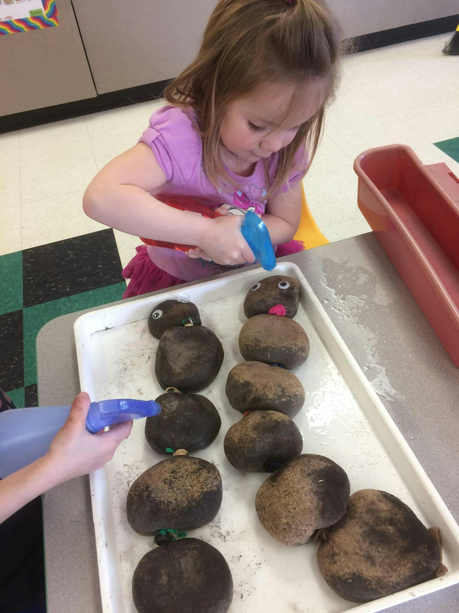 Child spraying water on rocks with googly eyes and pipe cleaners