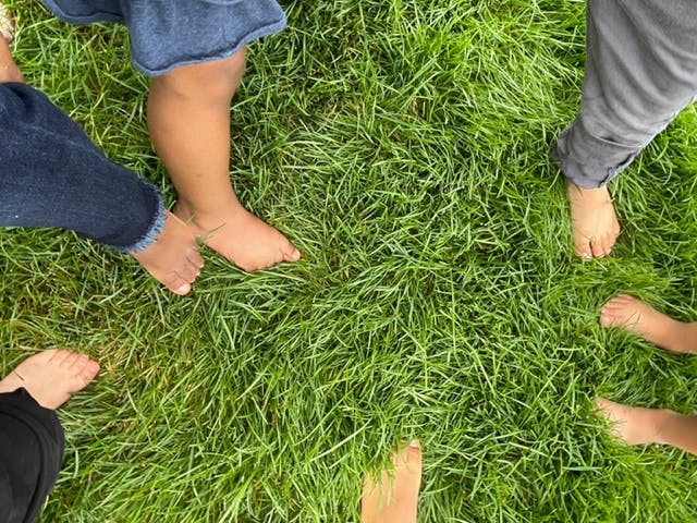 Bare feet of multiple people standing on green grass