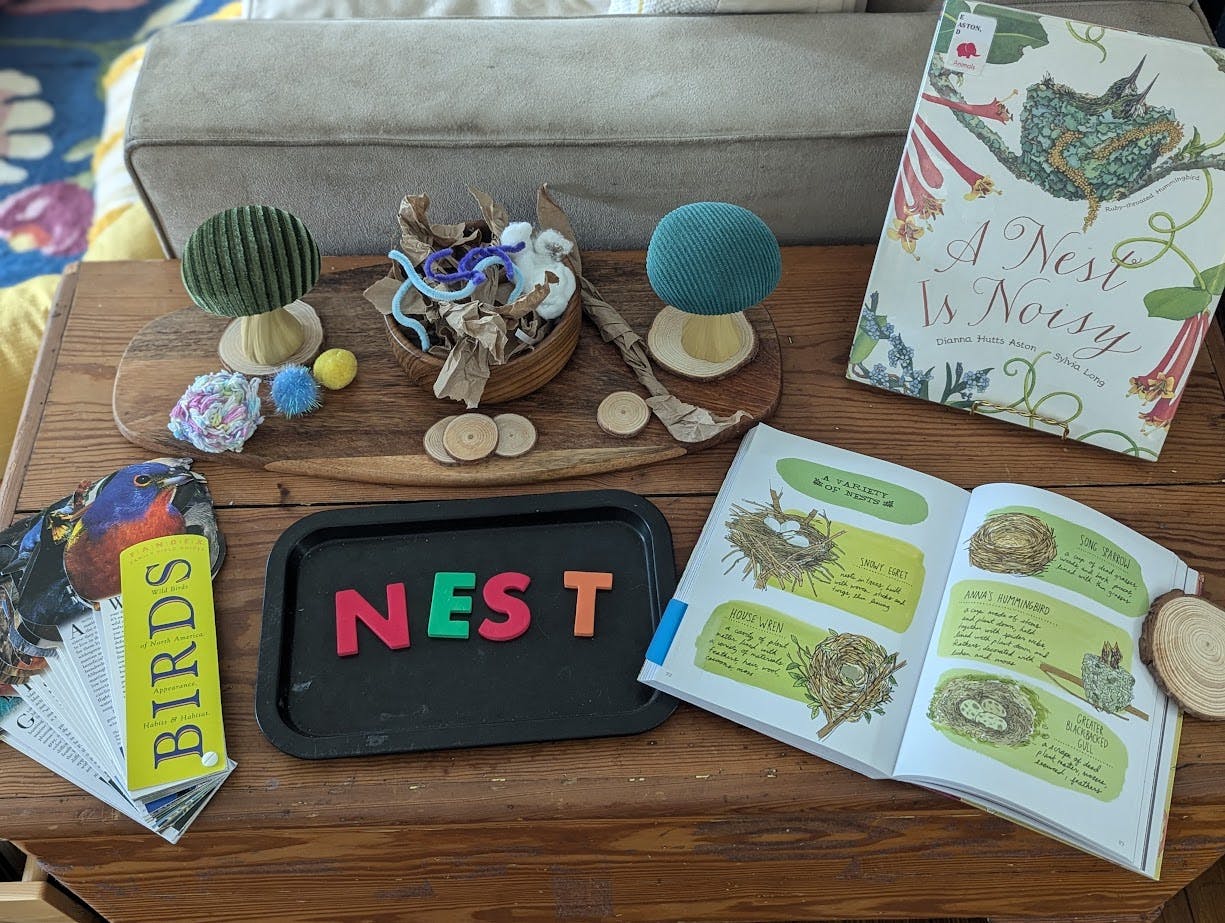 Bird nest building materials, books, and a tray with the word NEST