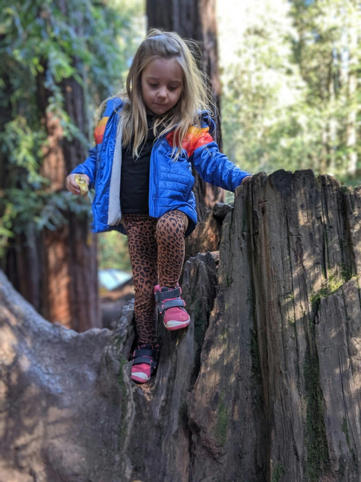 Child climbing on a tree stump
