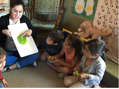 Person showing green object on white tray to children in a classroom