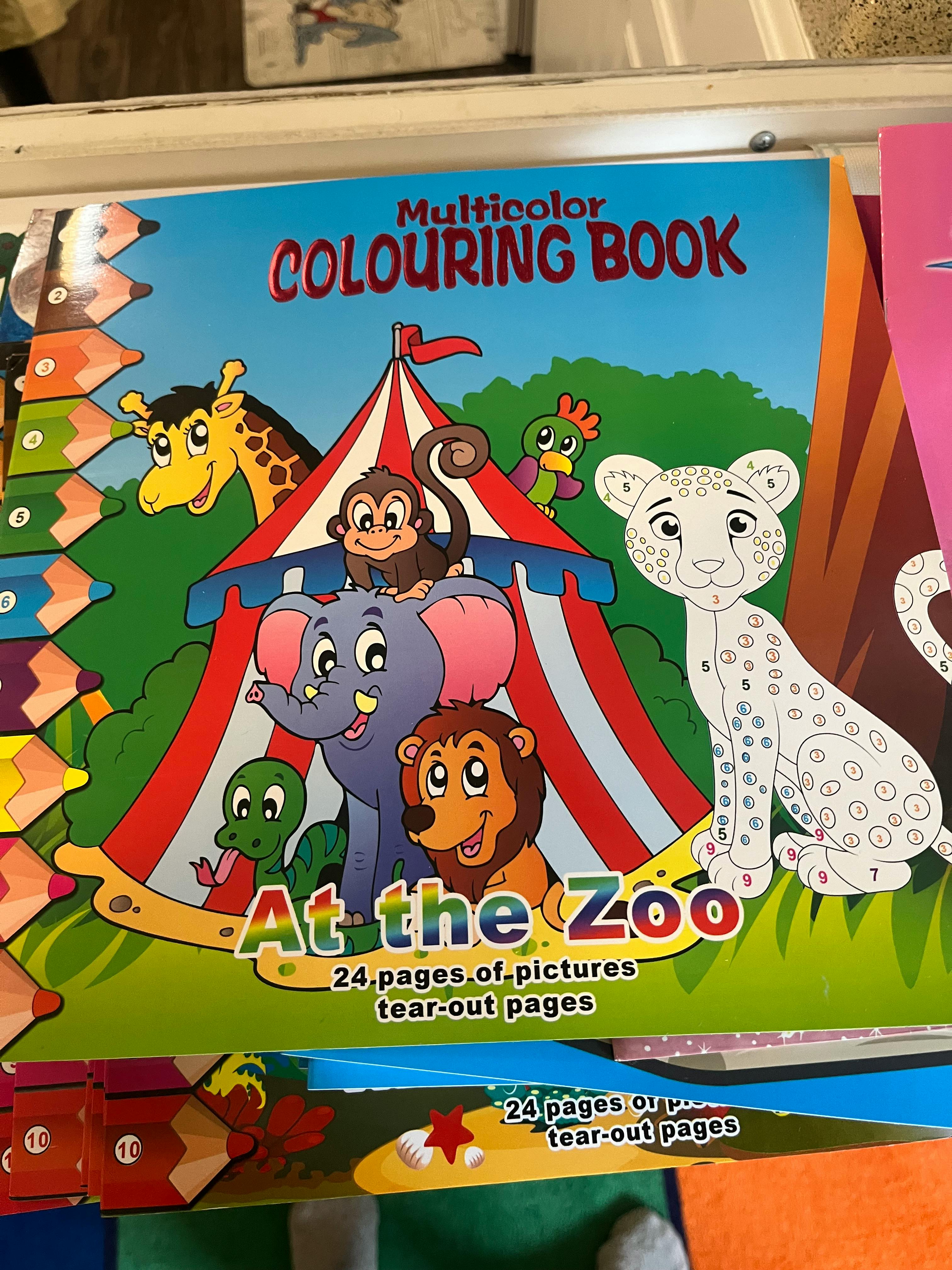 Colouring book cover with cartoon zoo animals and text "Multicolor Colouring Book At the Zoo"
