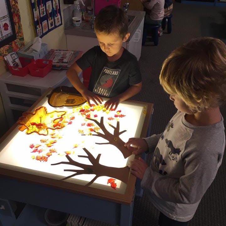 Two children playing with a light table with tree and leaf cutouts