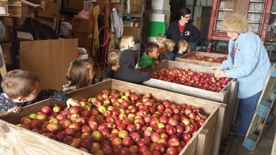 People and children looking at large bins of apples